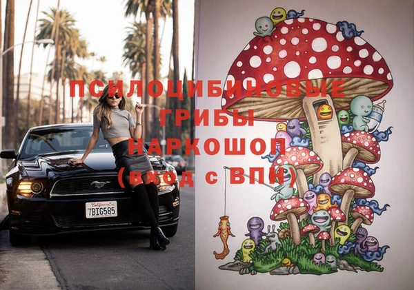 MDMA Белокуриха