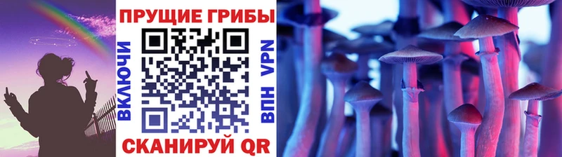 Галлюциногенные грибы мицелий  Купить закладки  Гусь-Хрустальный 
